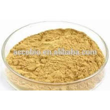 grado alimenticio de alta calidad Golden Seal Root Extract Powder 20: 1